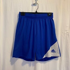 Adidas Climalite Shorts